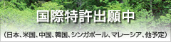 banner02.jpg
