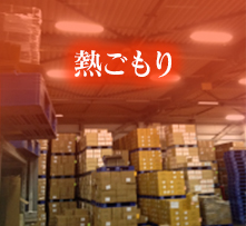 netu